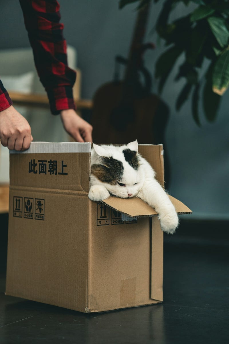 Stepping out of the Box